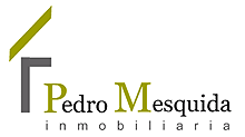 Pedro Mesquida