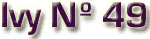 Ivy 49